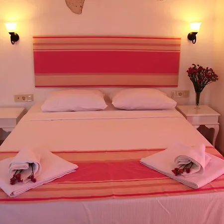 Dolce アラカティ